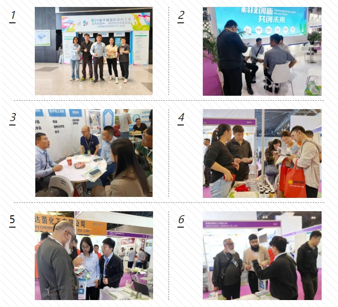 雙展凱旋 賦能全球 | 君鑫化工2025越南、上海雙展圓滿收官！